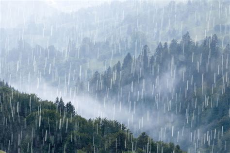 雨圖片|超过 20000 张关于“雨”和“自然”的免费图片